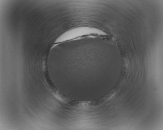 X0000071760080200607220021