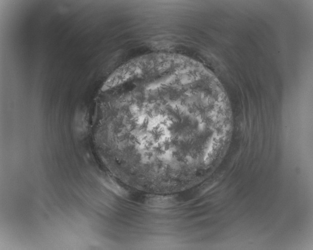 X0000071760081200607220021