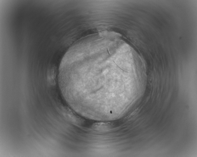 X0000071760082200607220021