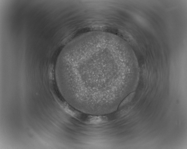 X0000071760083200607220021