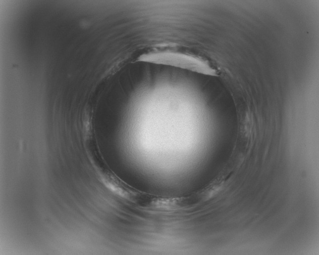 X0000071760084200607220021