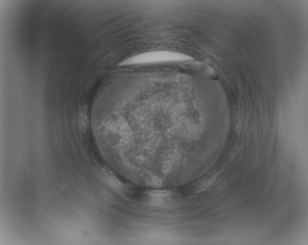 X0000071760085200607220021