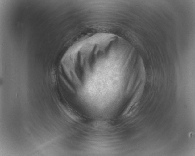 X0000071760086200607220021