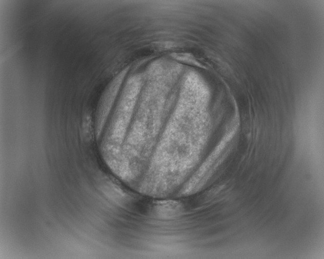 X0000071760087200607220021