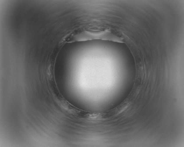 X0000071760088200607220021