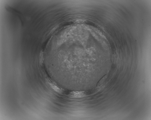 X0000071760093200607220021