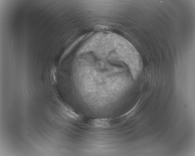 X0000071760094200607220021