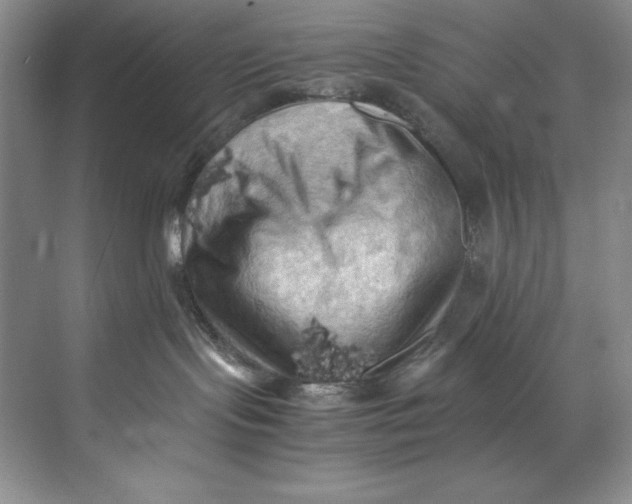 X0000071760095200607220021