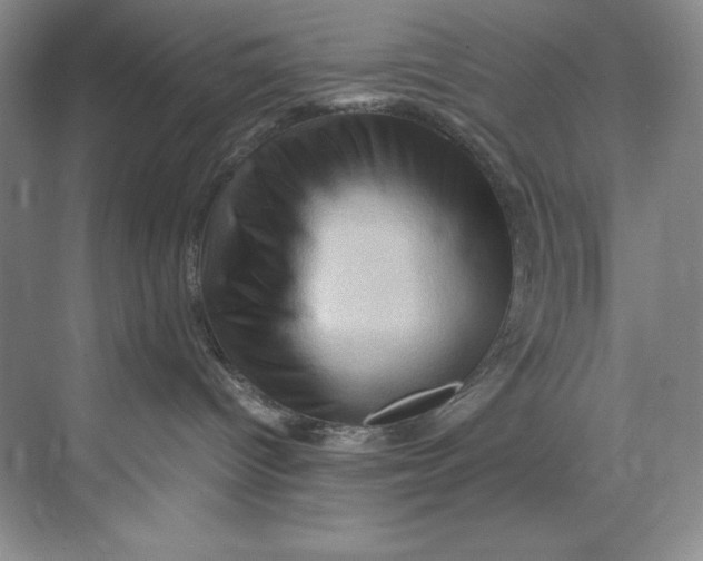 X0000071760096200607220021