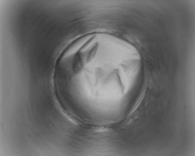 X0000071760098200607220020