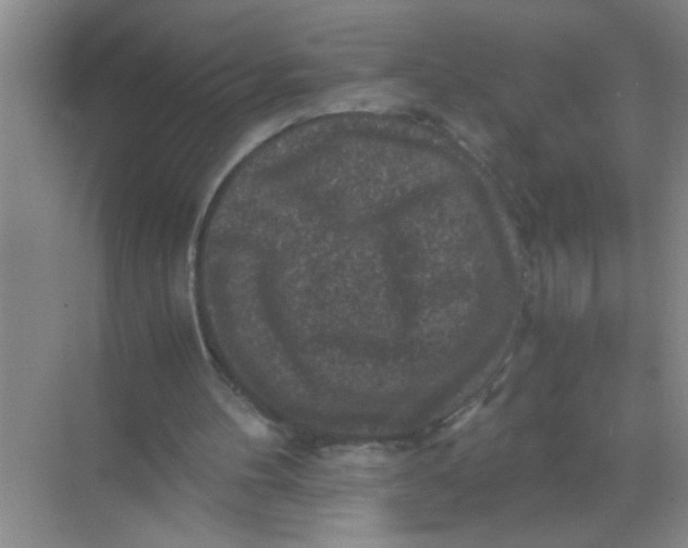 X0000071760100200607220020