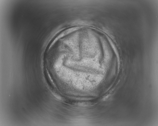 X0000071760103200607220020