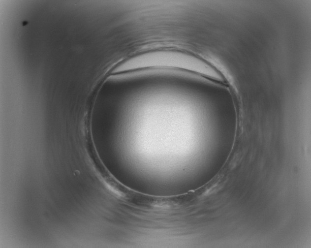 X0000071760105200607220020