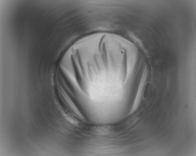 X0000071760106200607220020