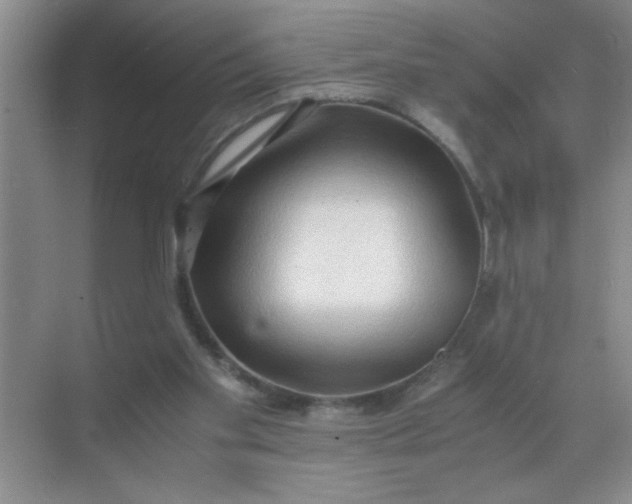 X0000071760109200607220020