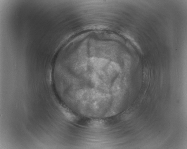 X0000071760110200607220020