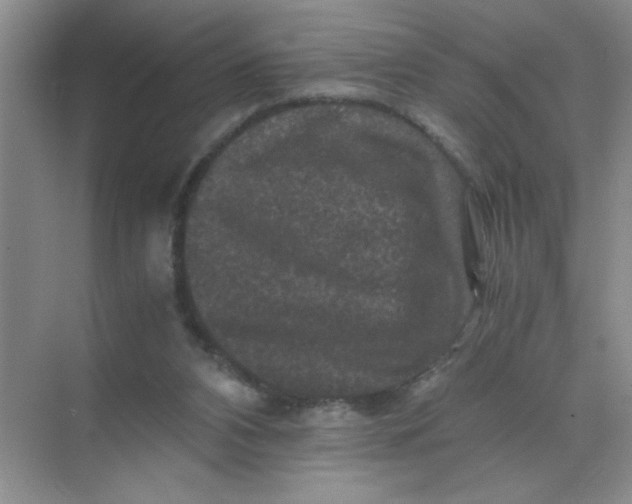 X0000071760112200607220020