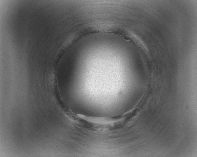 X0000071760113200607220020