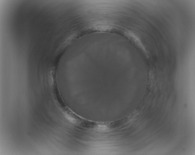 X0000071760114200607220020