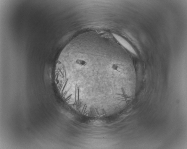 X0000071760115200607220020