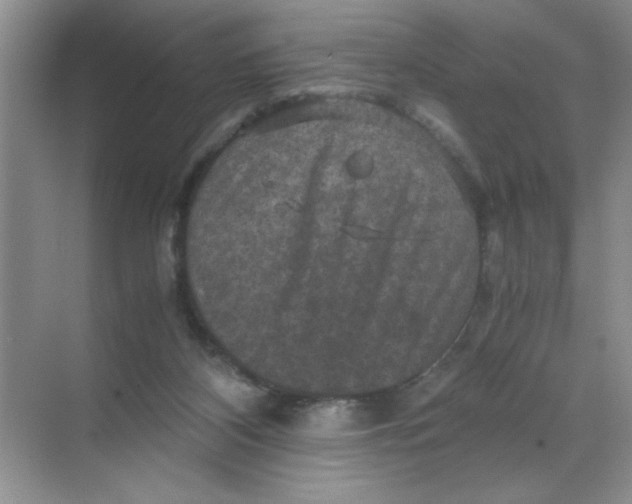 X0000071760116200607220020