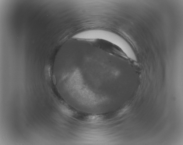 X0000071760117200607220020