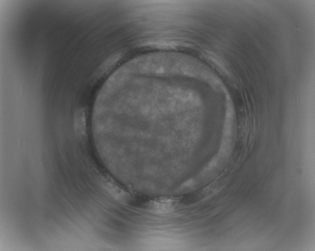 X0000071760120200607220020