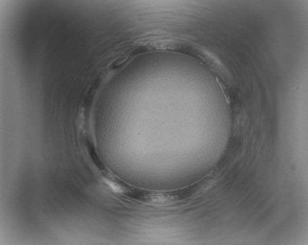 X0000071760121200607220020