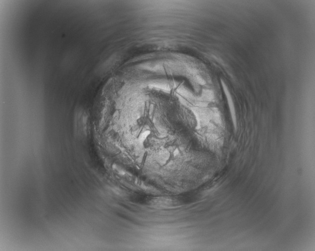 X0000071760123200607220020