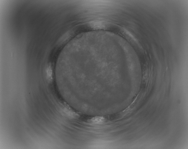 X0000071760124200607220020