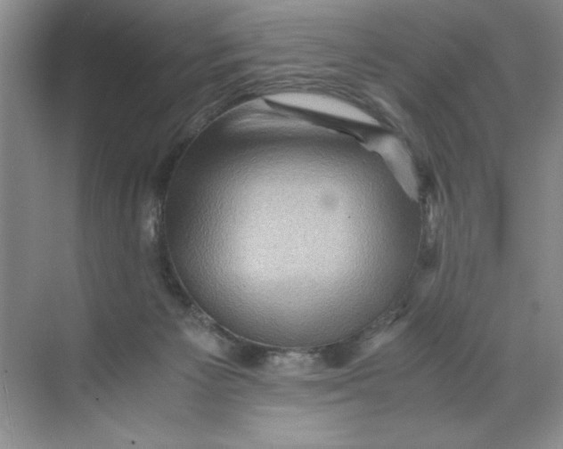 X0000071760125200607220020