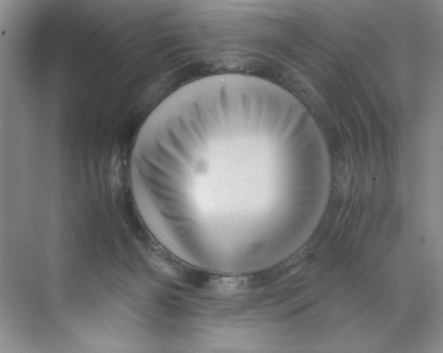 X0000071760126200607220019