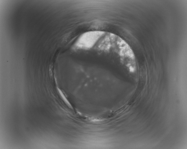 X0000071760127200607220019