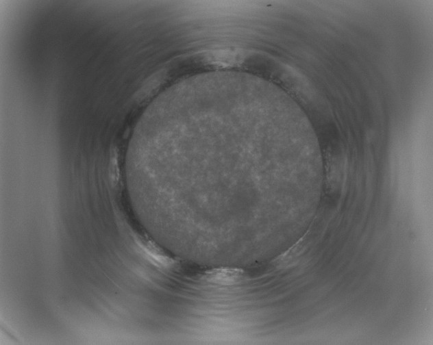 X0000071760128200607220019