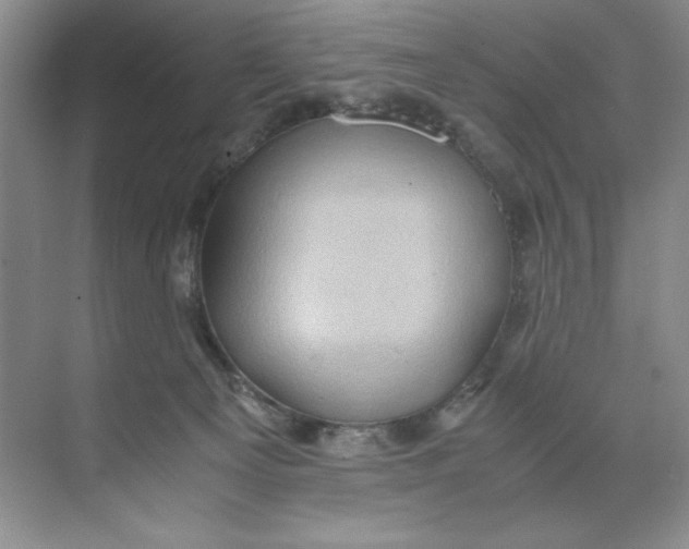 X0000071760129200607220019