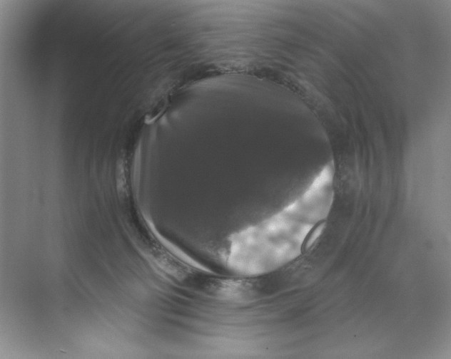 X0000071760130200607220019