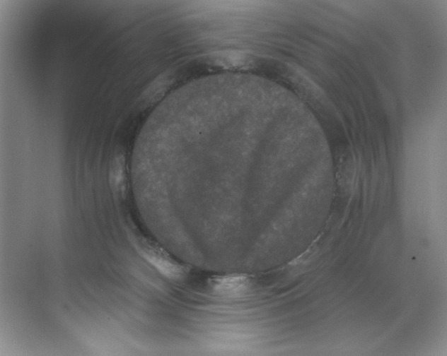 X0000071760132200607220019