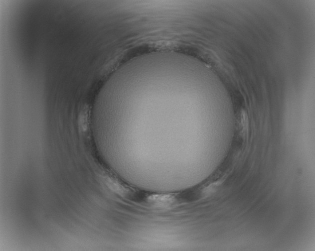 X0000071760133200607220019