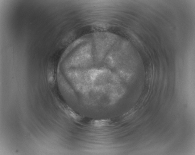 X0000071760134200607220019