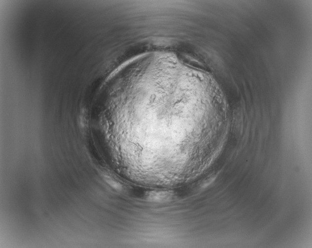 X0000071760135200607220019