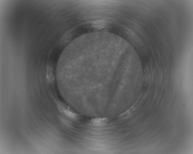 X0000071760136200607220019