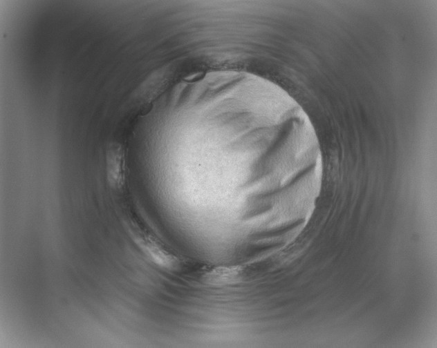 X0000071760138200607220019