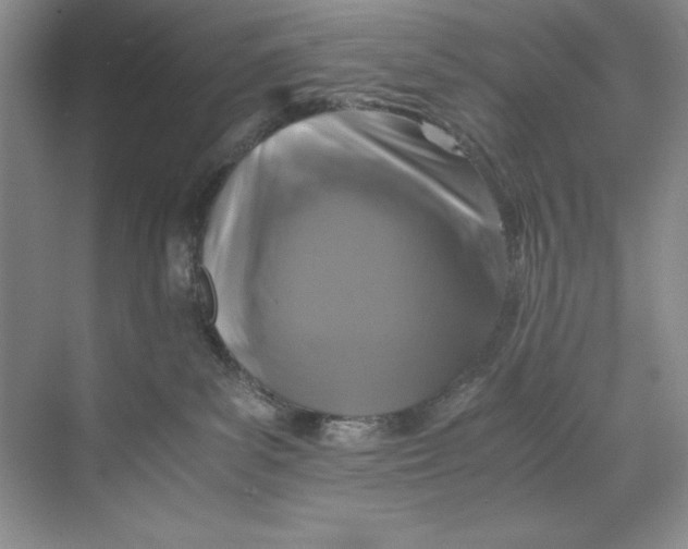 X0000071760139200607220019