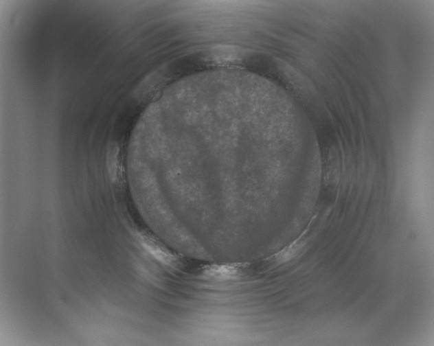 X0000071760140200607220019