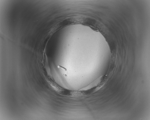 X0000071760141200607220019