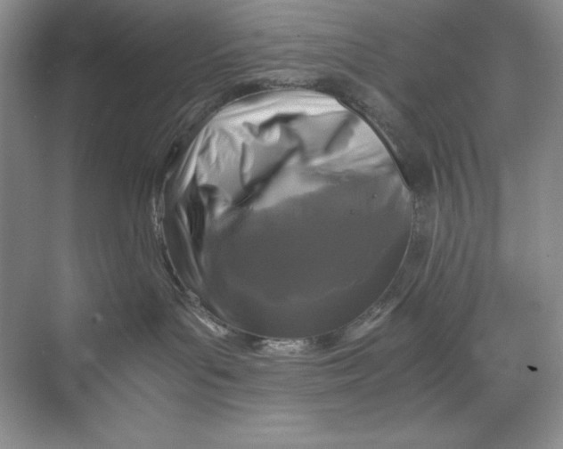 X0000071760143200607220019