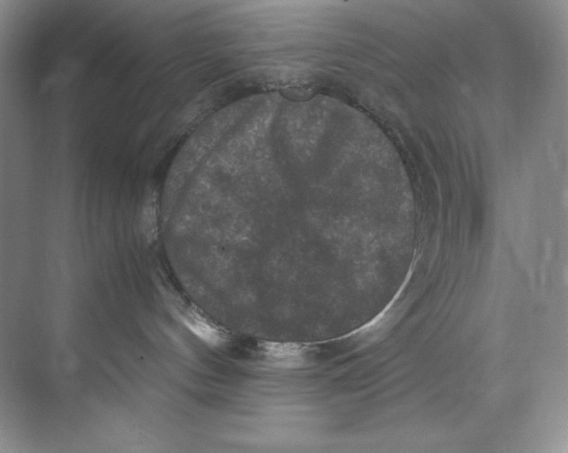 X0000071760144200607220019