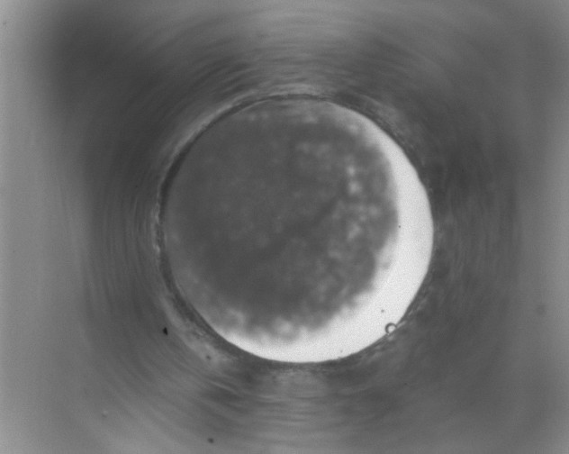 X0000071760146200607220018