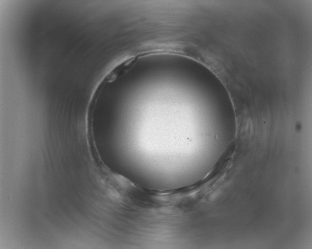 X0000071760148200607220018