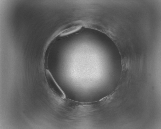 X0000071760150200607220018